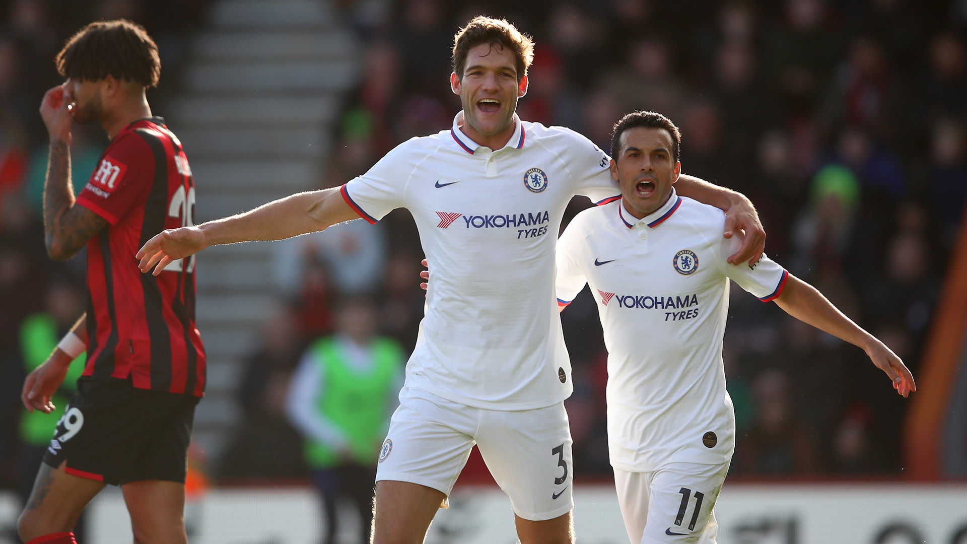 催化燃烧传感器